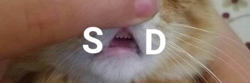 KingD15_'s profile banner image