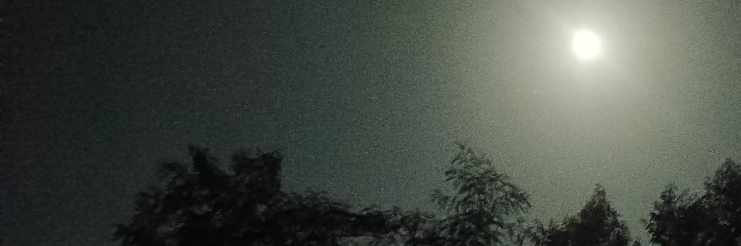 ShlokamS's profile banner image