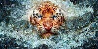 Adjeputra's profile banner image