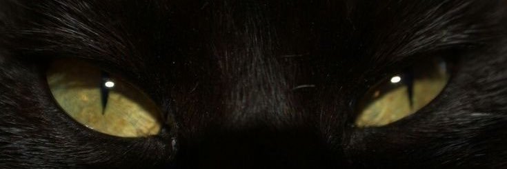 sydneysky's banner