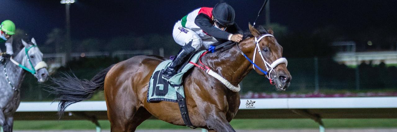 Alshareef Stable banner