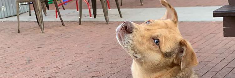 karlyjopills's profile banner image