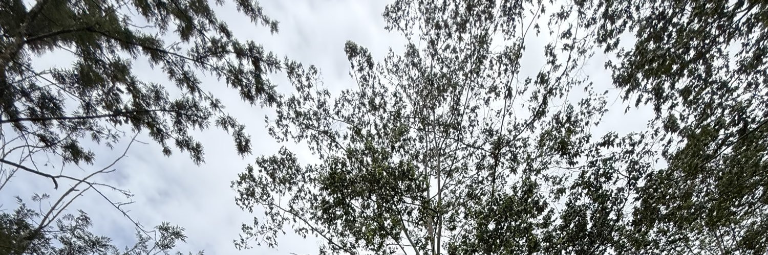ChaaaChaicha's profile banner image