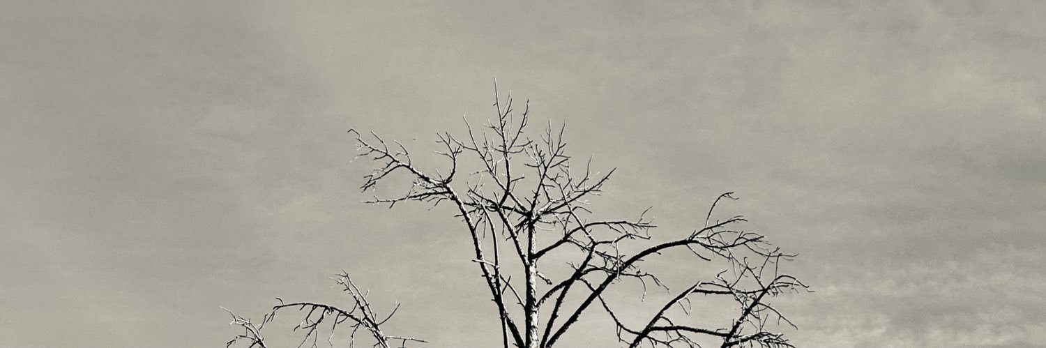 caditudo's profile banner image