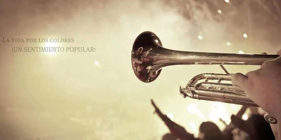 agalumaaaa's profile banner image