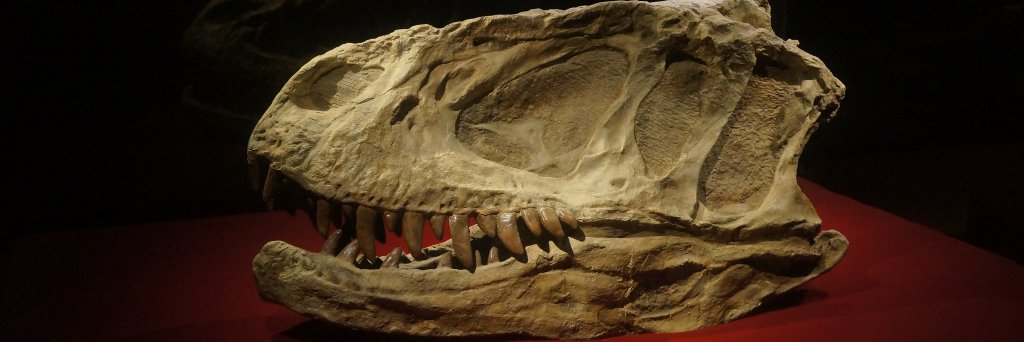 John Pickrell 🌈 banner