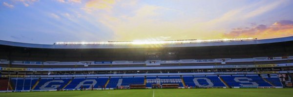 MarcajeGallos Profile Banner