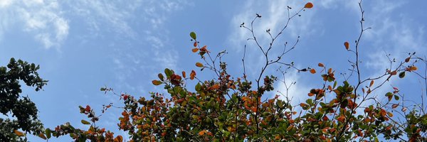 slimmwrites Profile Banner