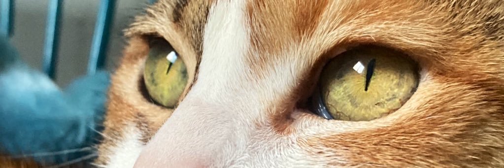 lucales's profile banner image