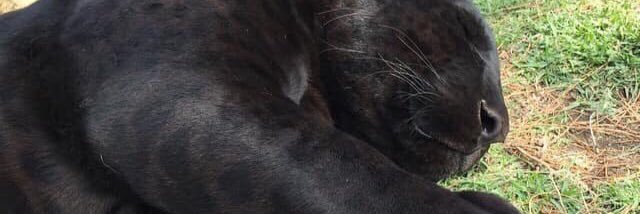 beckyjjrx's profile banner image