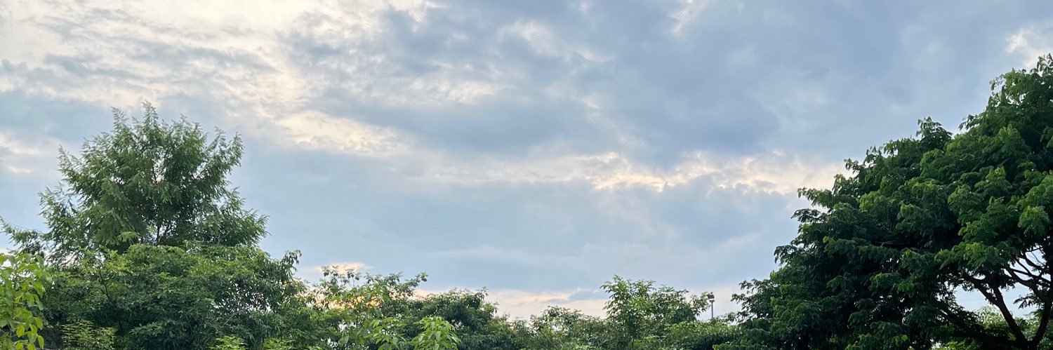 🐣🧡 banner