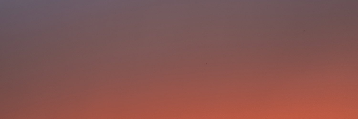 inss_r's profile banner image