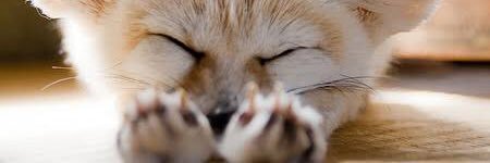 jkr1435's profile banner image