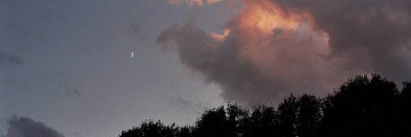 brandonjlu Profile Banner