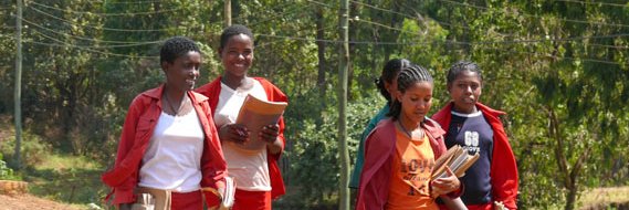 The Shima Foundation banner