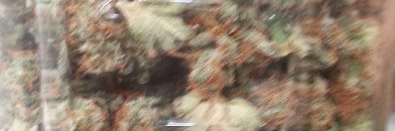 Str8Burlio's profile banner image
