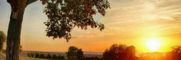 Fernando banner