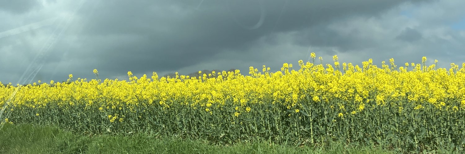 ilonalnr's profile banner image