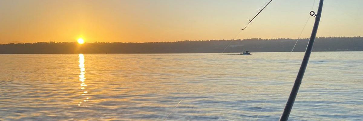Navalber's profile banner image