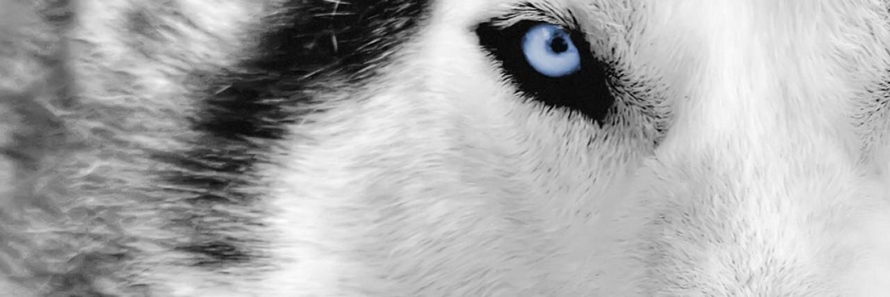 zerakj's profile banner image