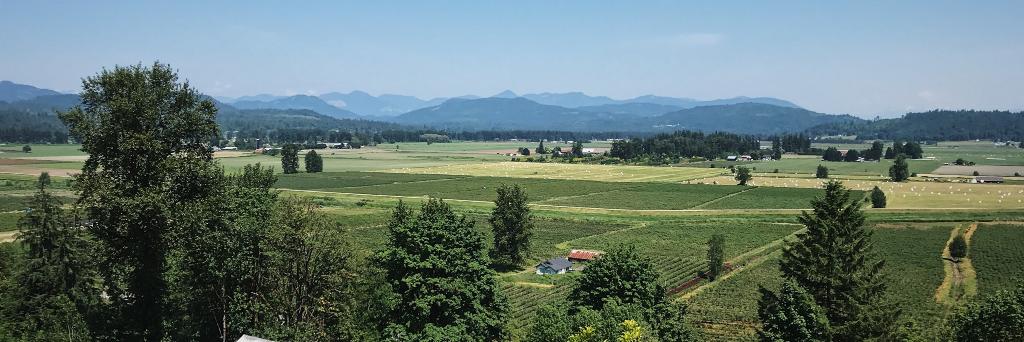 WagnerHillsBC's profile banner image