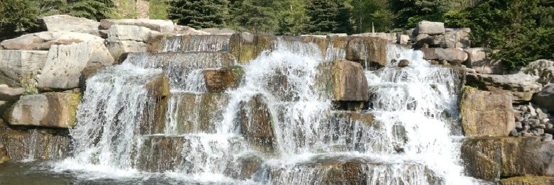 The Classy Chics banner