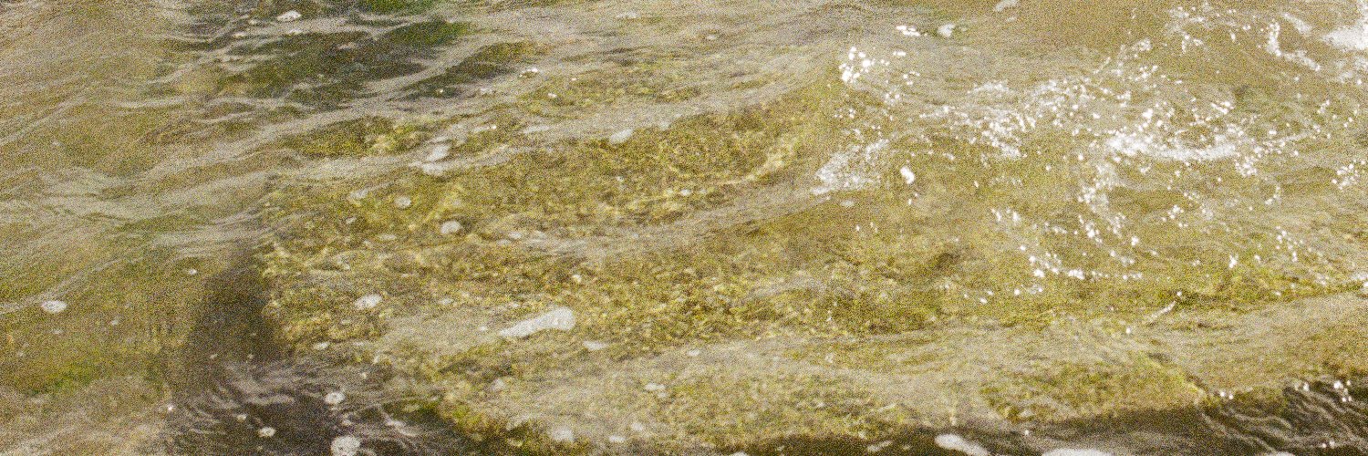 Archie Sagers banner