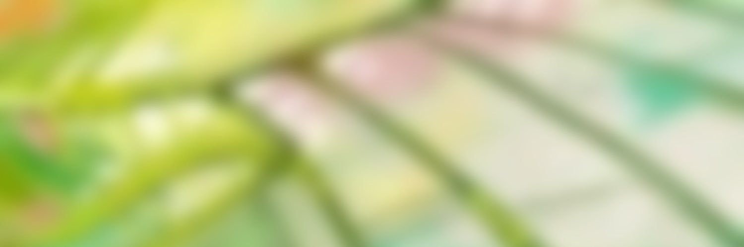 hannah 🦦🍉 banner