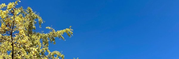 Irene145248 Profile Banner