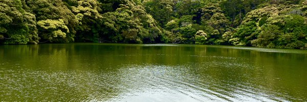 beshopbeshop Profile Banner