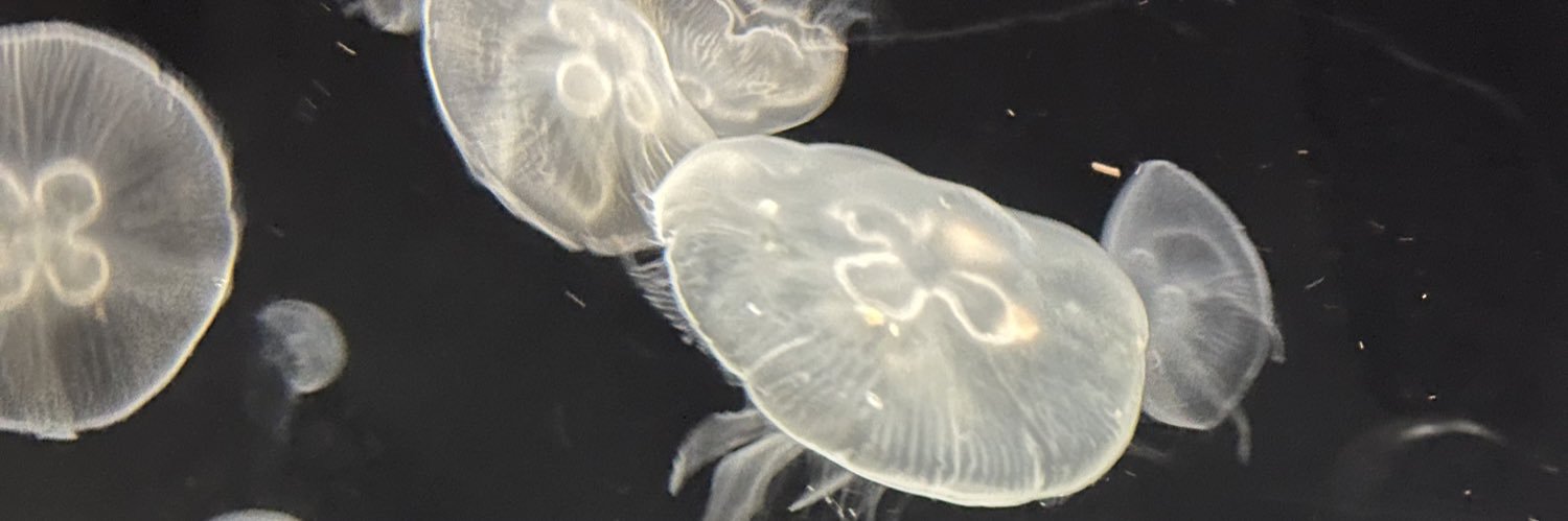 girl smoocher 9000 banner