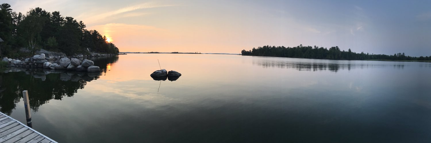 Hailey DiDonato banner