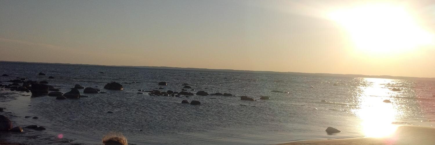 Renee Despres, PhD, MPH banner