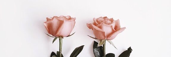 vaniawidi's profile banner image