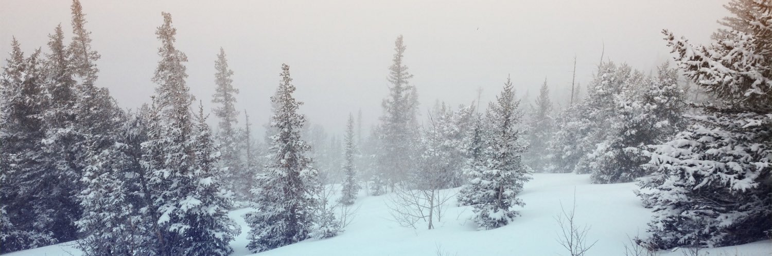 ericlodal's profile banner image
