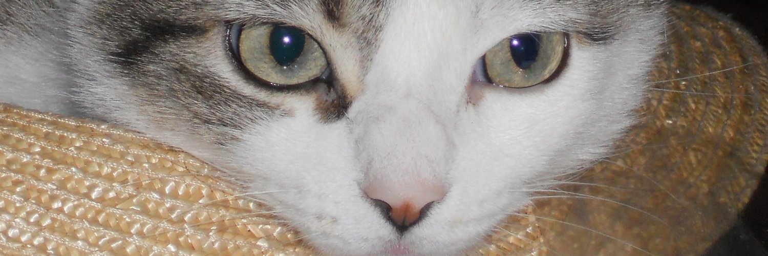 MarkWatermanPhD's profile banner image