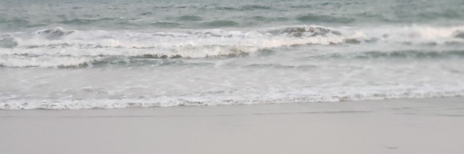 MissNikkiDaws's profile banner image