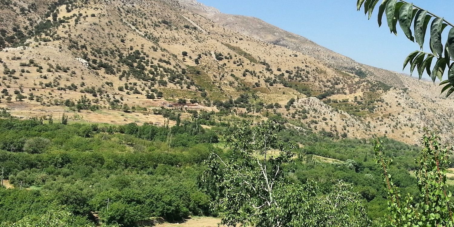 sh_lehony's profile banner image