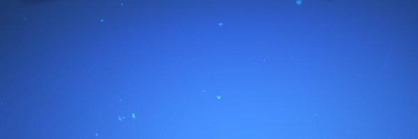 BlendzBets Profile Banner