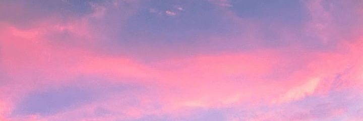 tovaelvesson's profile banner image