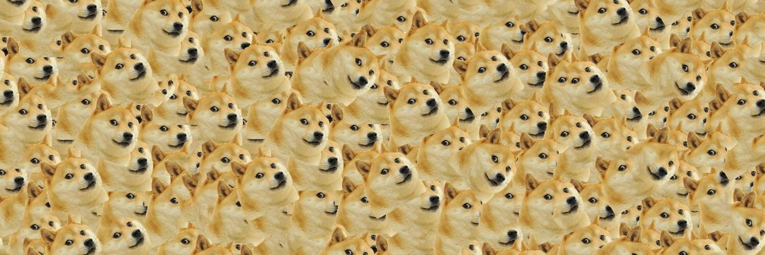 peterillegal's profile banner image