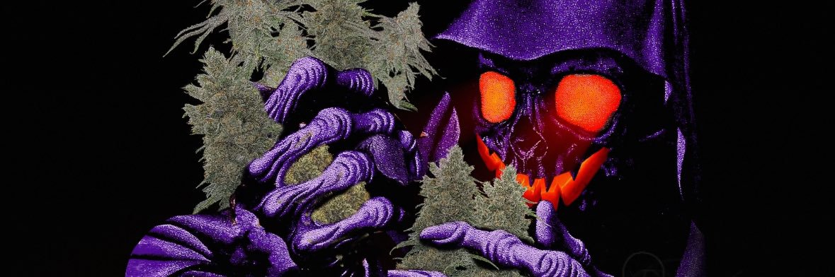 BtheKing93's profile banner image
