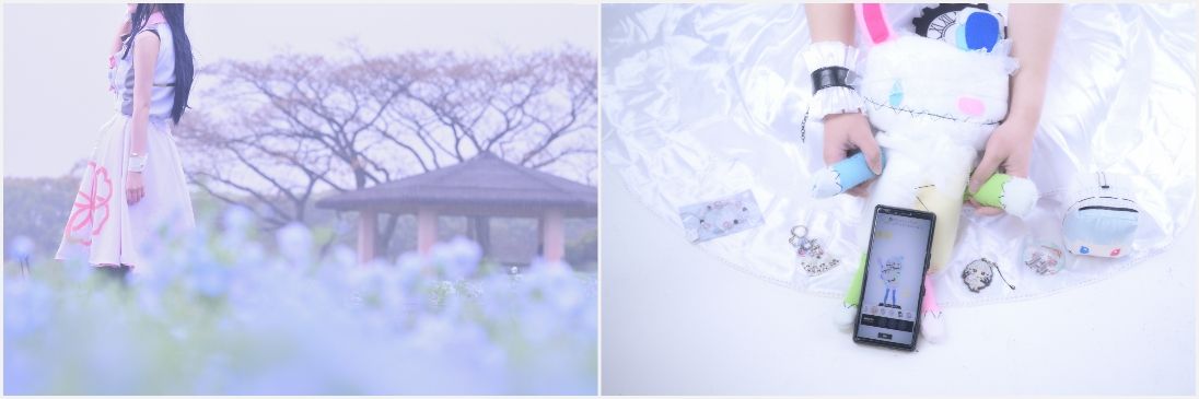 もらいおやつのてぃぐ🐥🐬🌱 banner