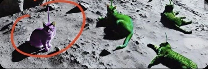 jace⁷ loves BENEE ☞ ia |👽💖 ۞ ۞ banner