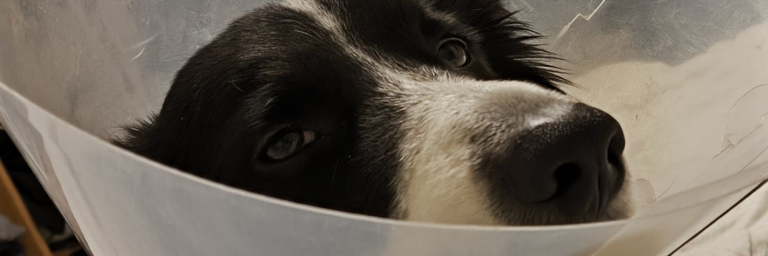 rxtjr1's profile banner image