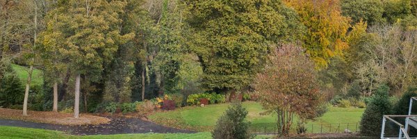 gill_sinead Profile Banner