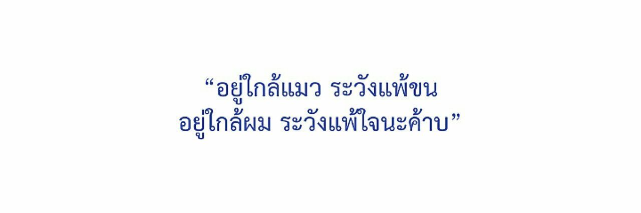 Forest แปลว่า ป่า banner