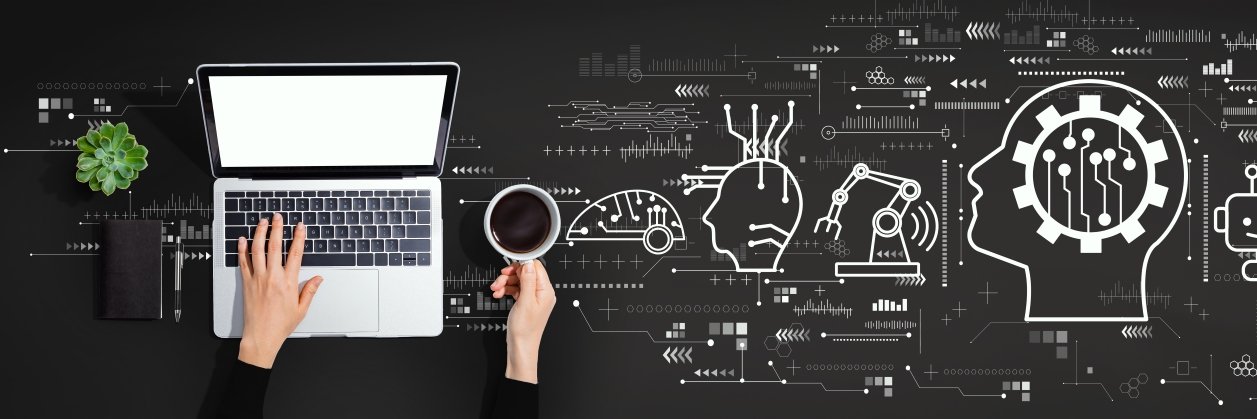 Dominic Rinaldi banner