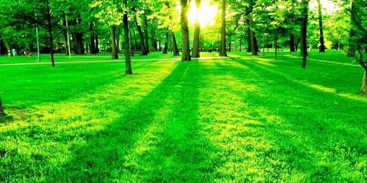PEACE & LOVE. banner