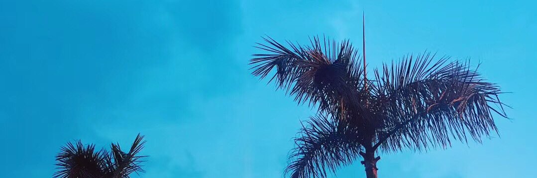 小陈爱吃瓜 banner